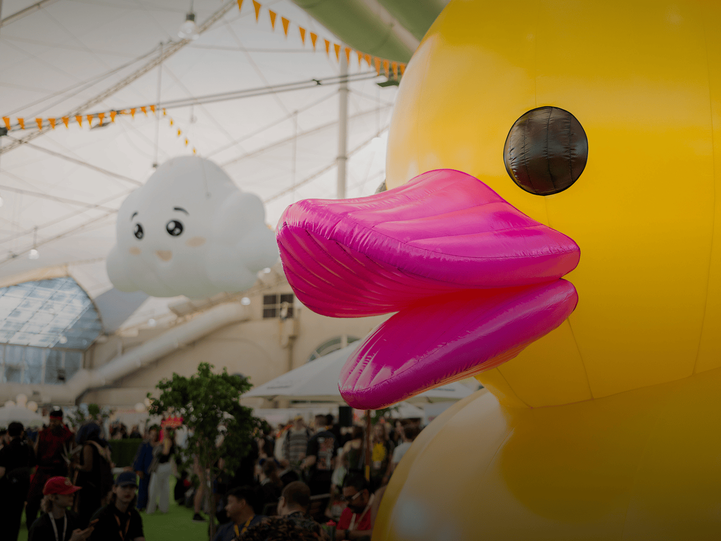 Inflatable duck